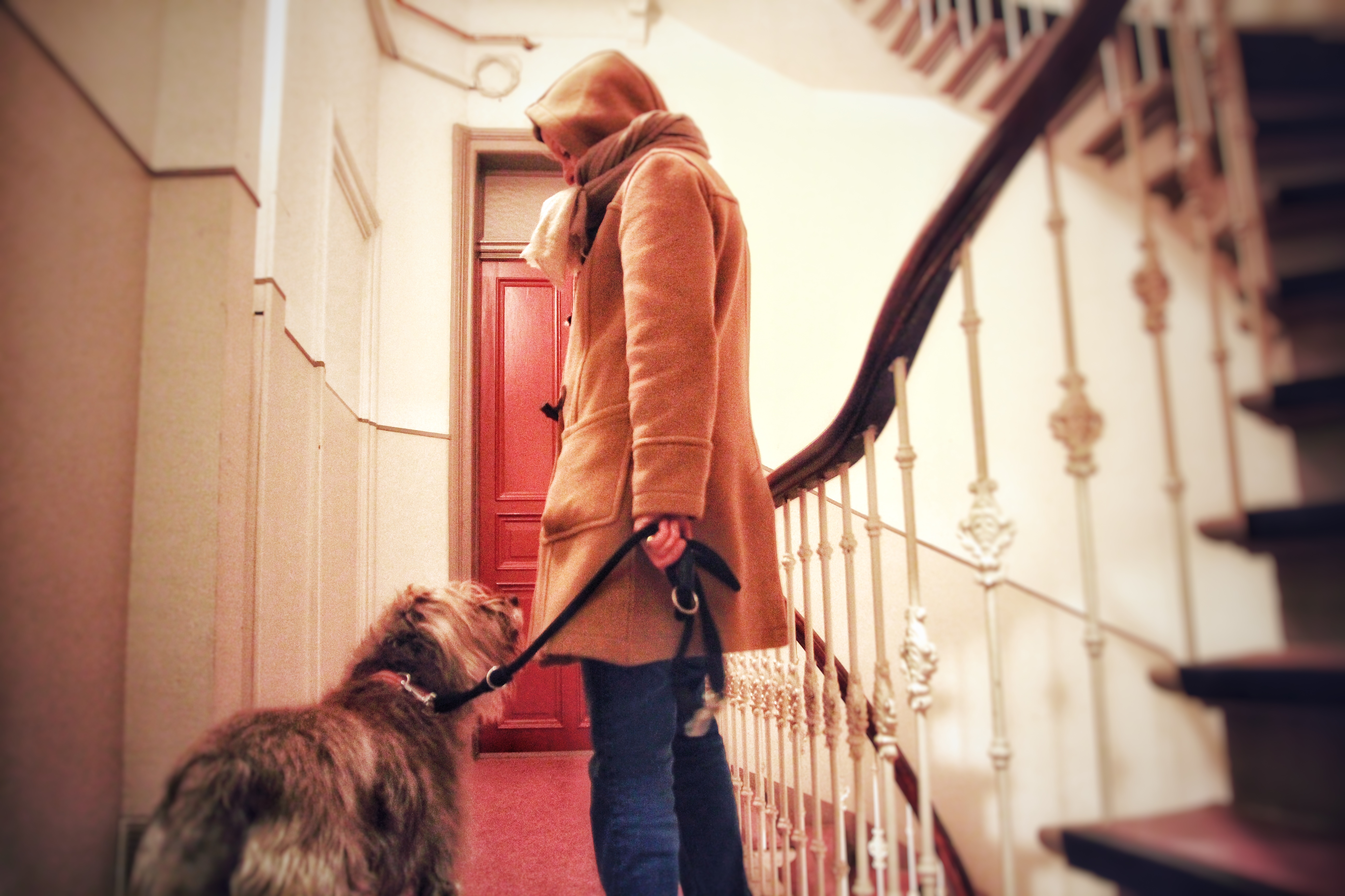 Hund3