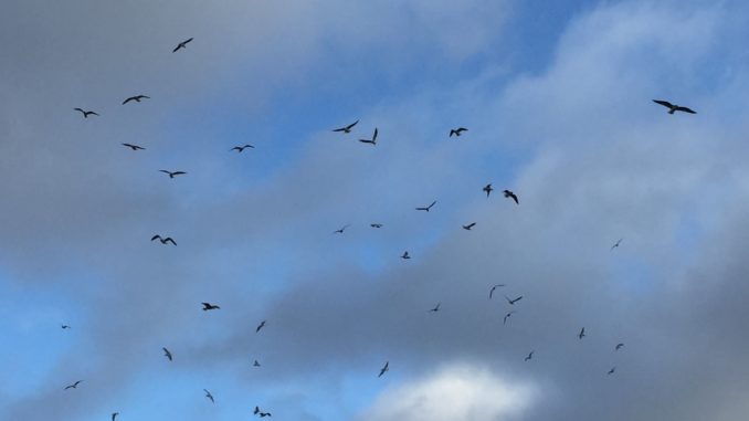 IMG_0828