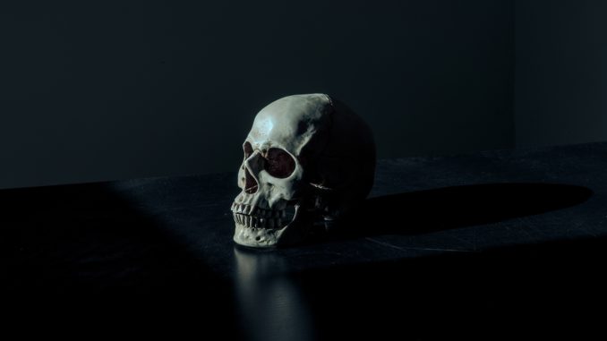 mathew-macquarrie-u6OnpbMuZAs-unsplash